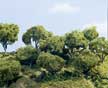 TK28 2"- 4" Hardwood Forest (24/pkg) Large Tree Kits (Click for larger picture)