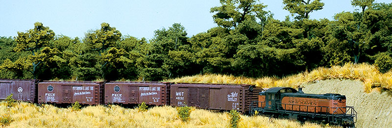 Freight Train in the Countryside