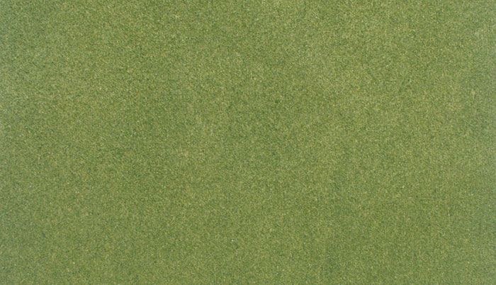 Spring Grass Mats - Unique characteristics make this non-shedding, vinyl grass mat the best on the market! ReadyGrass mats are non-fading, colorfast, made from durable/tear resistant material, and easily cut to any size