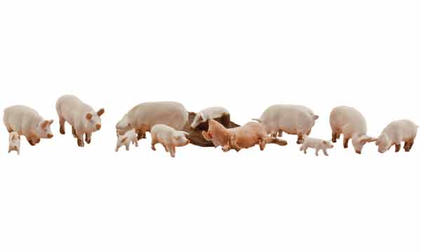 Yorkshire Pigs - HO Scale - Set of Yorkshire oinkers includes sows, feeders and piglets