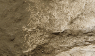 C1229_d_1.gif