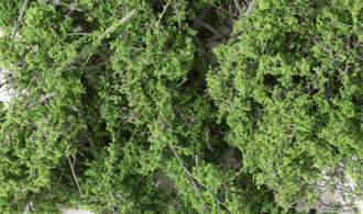 Woodland Scenics F1133 Fine-Leaf Foliage Olive Green Model Terrain Material 