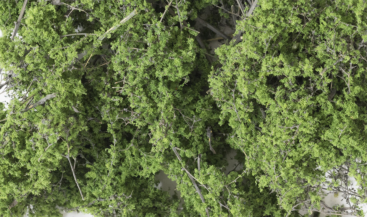Fine-Leaf Foliage<sup>™</sup> Medium Green - Use for early Spring bushes, shrubs and trees