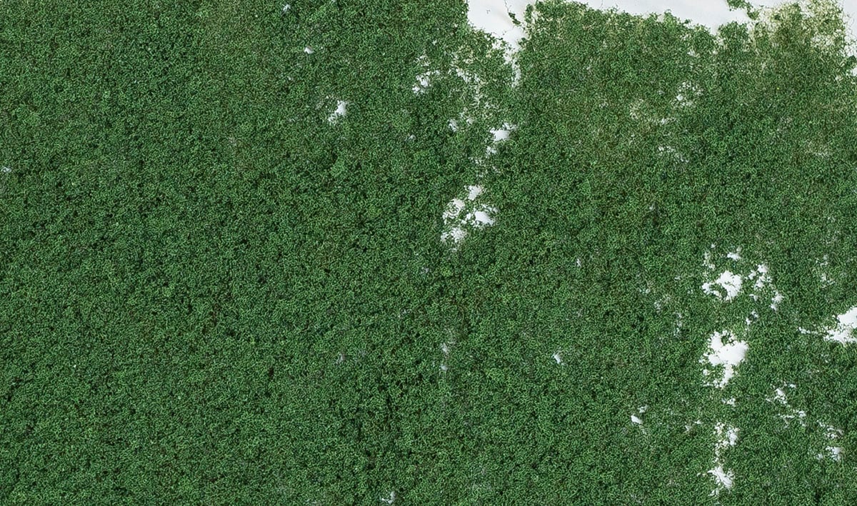 Woodland Scenics Fc59 Foliage Cluster Dark Green Woou1379 for sale online
