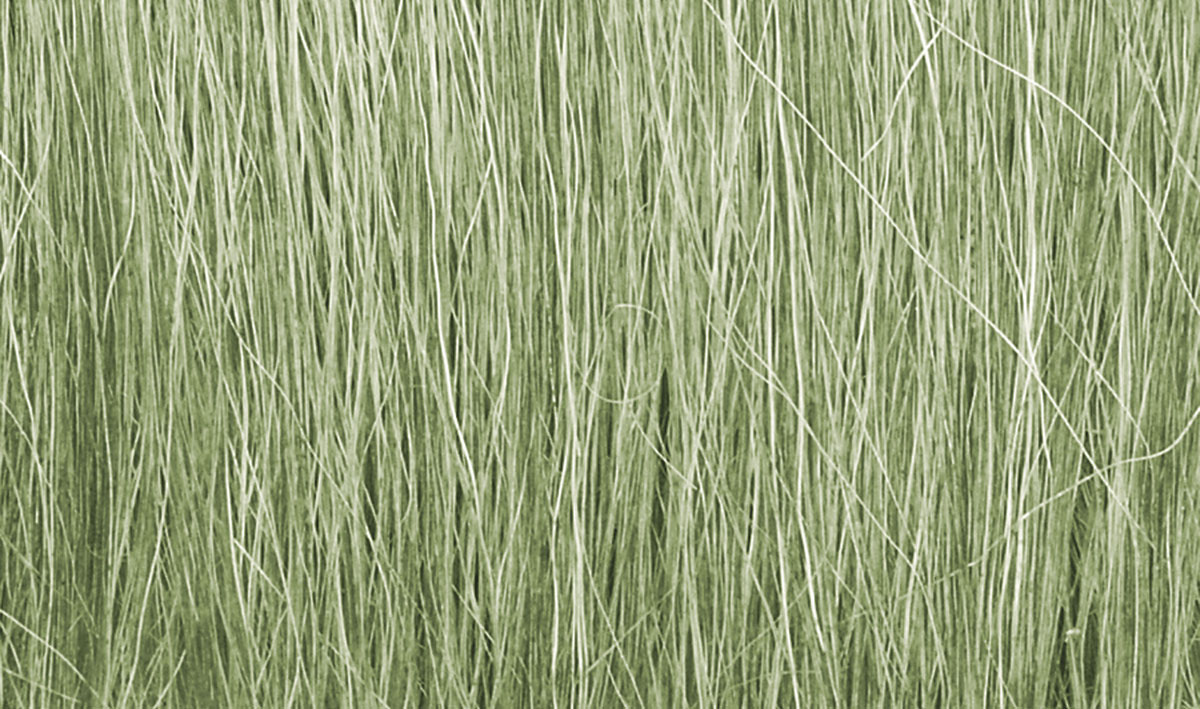 Woodland Scenics FG174 Medium Green Field Grass Scenic Brush Foliage Flock