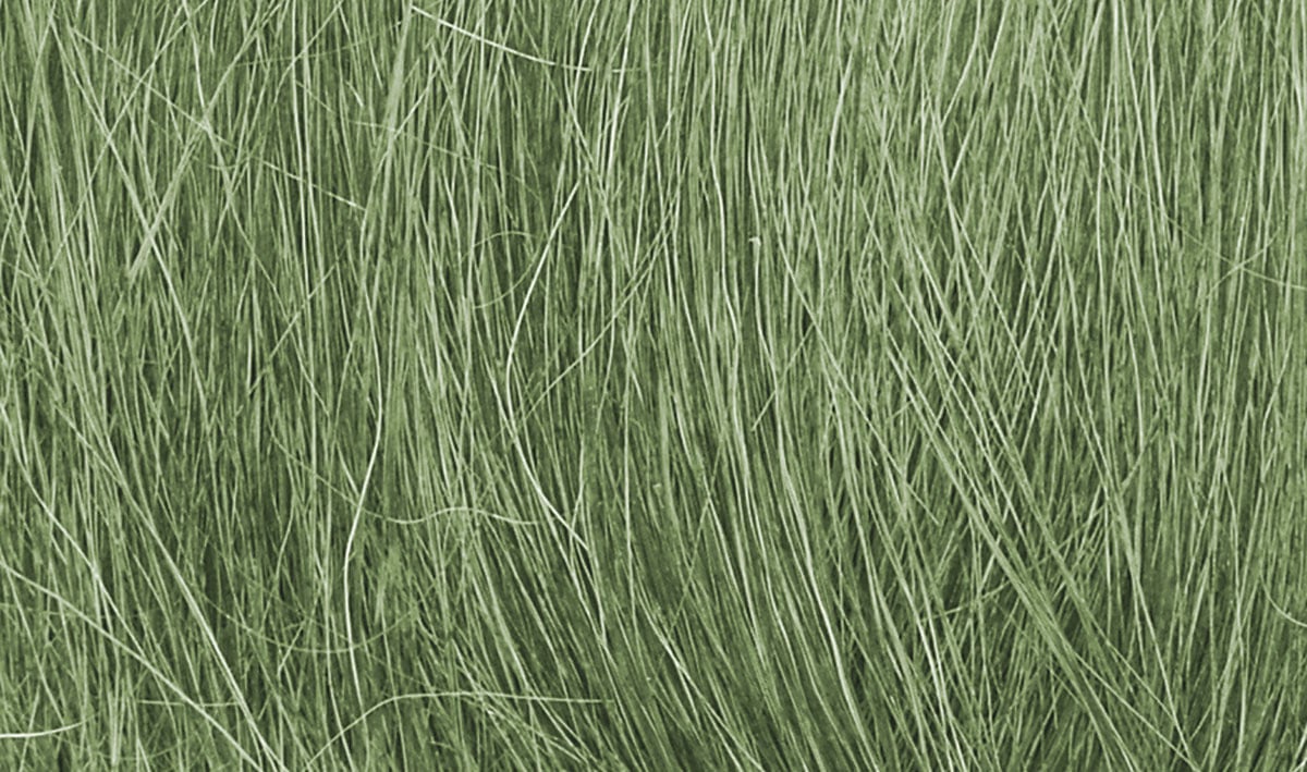 Field Grass Medium Green - Model tall grasses