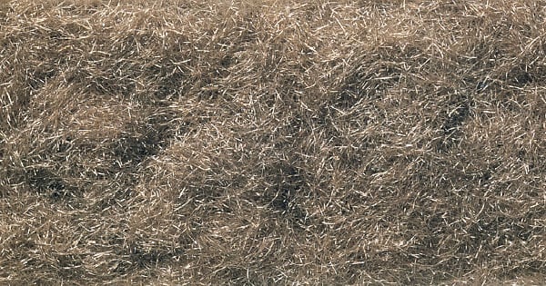 Flock Burnt Grass - Use Burnt Grass to model grasses that have been burnt by the sun or fires