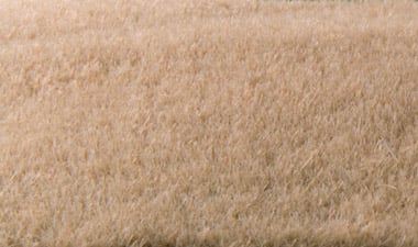 FS616