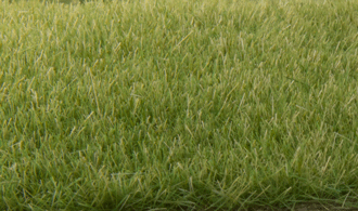 Woodland Scenics WFS618 Landschaftsbau 4mm Static Grass Medium Green 