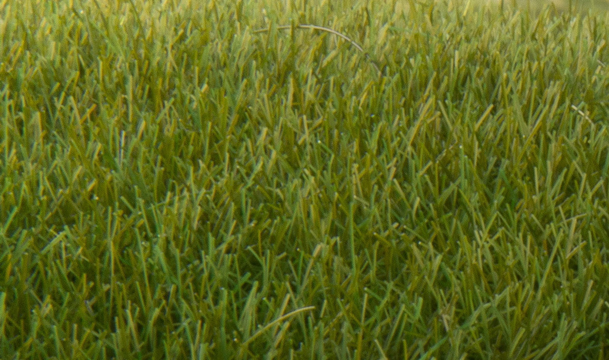 Woodland Scenics Fs621 Static Grass Dark Green 7mm for sale online 
