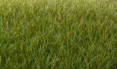 Woodland Scenics 7mm Static Grass Medium Green FS622 