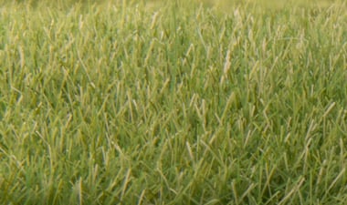 FS622