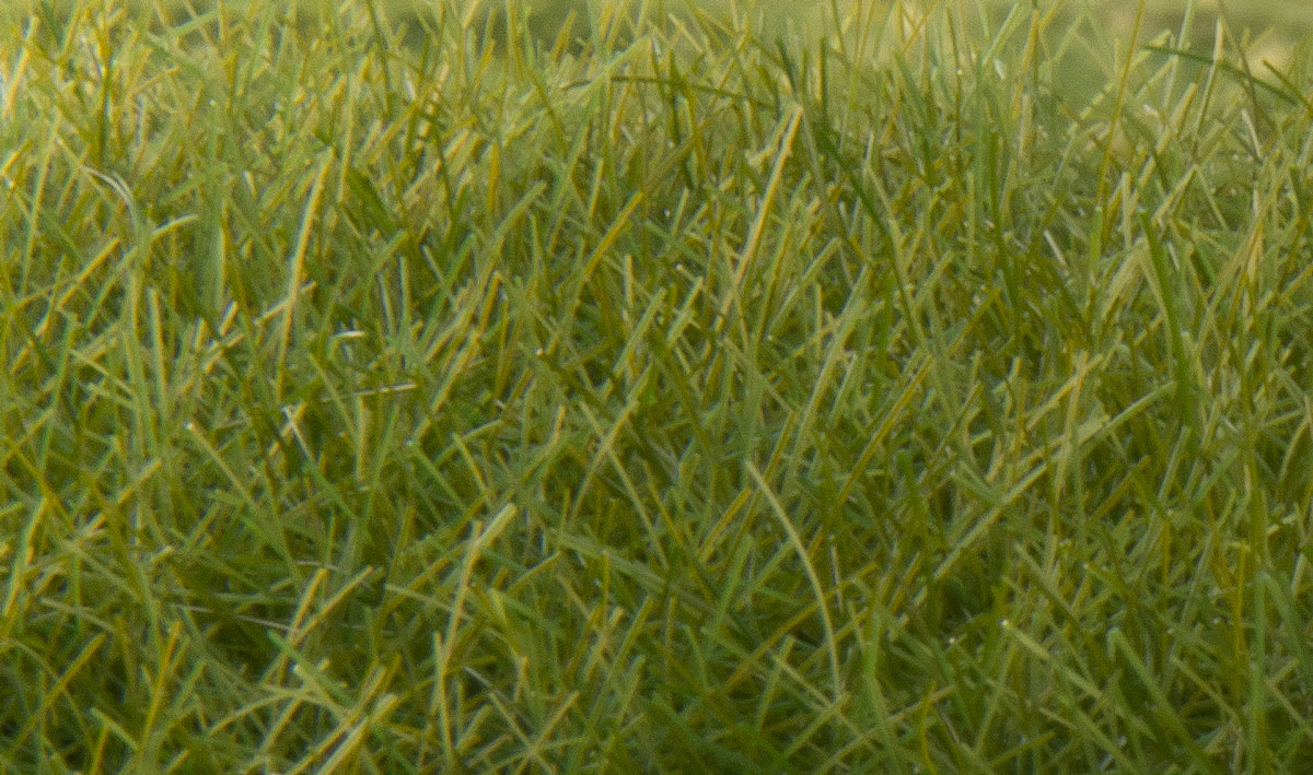 FS626 Woodland Scenics 12mm Static Grass Medium Green 
