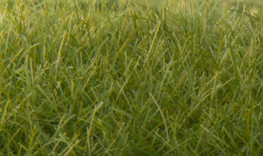 Woodland Scenics FS628 Static Grass 12mm Straw 