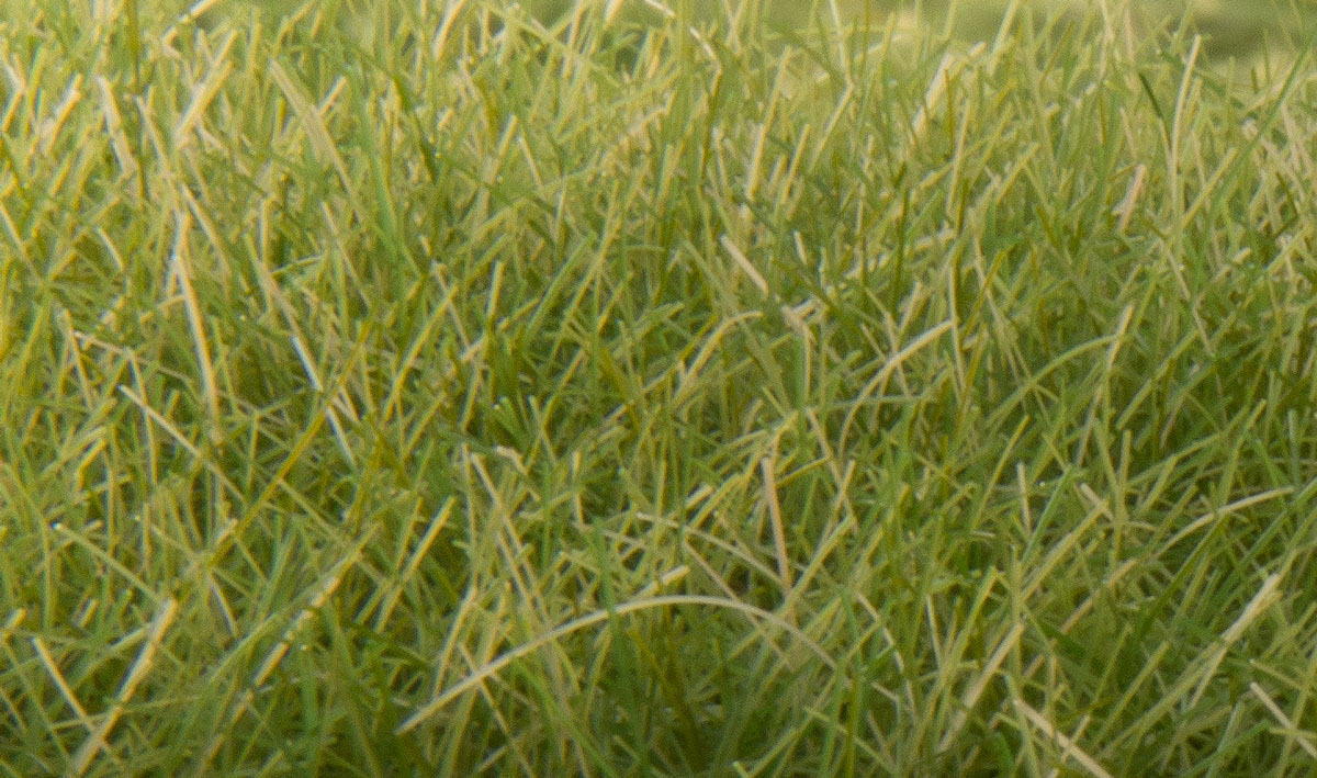 Woodland Scenics FS626 12mm Static Grass Medium Green 