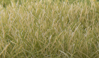 Woodland Scenics Static Grass  Medium Green 7mm WOOFS622 