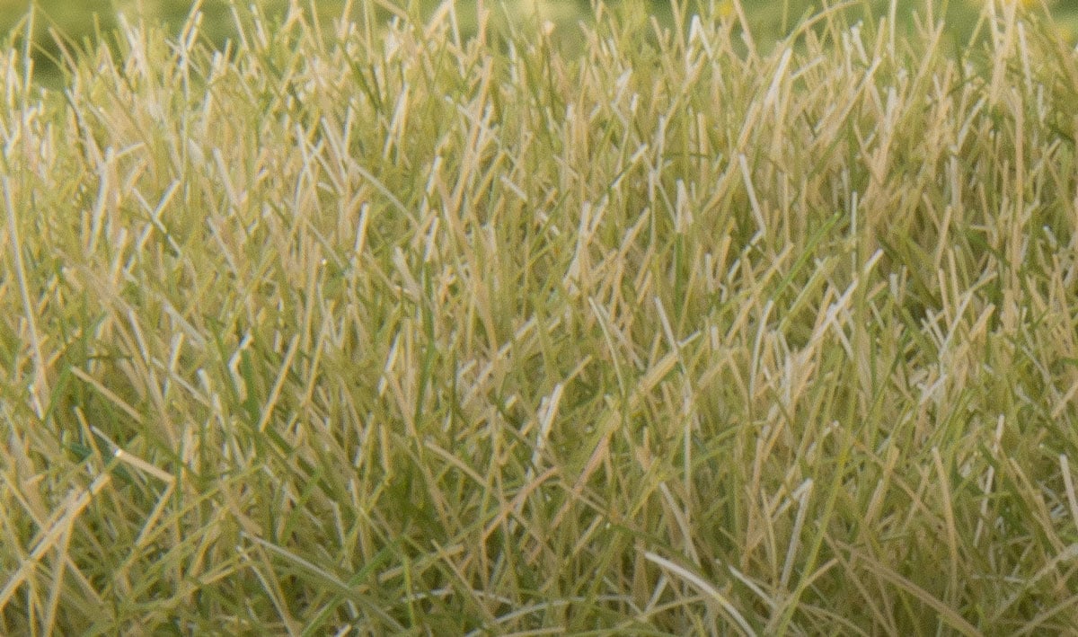 Woodland Scenics 12 mm Static Grass - Medium Green
