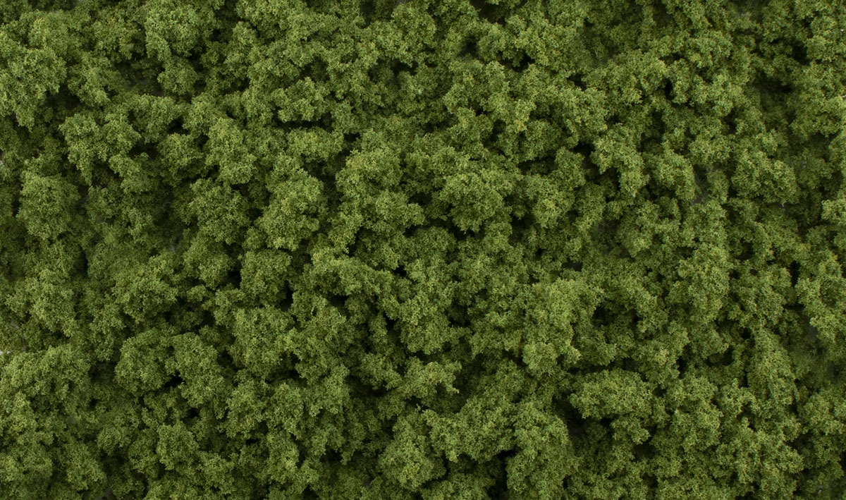 G6461