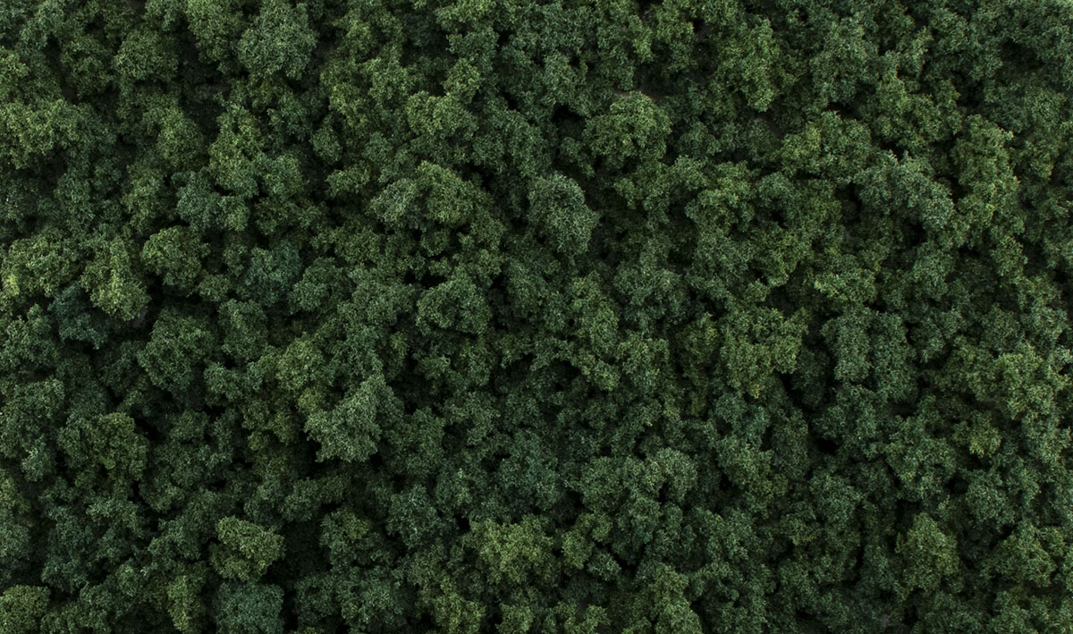 Dark Green Foliage Clumps - Woodland Scenics