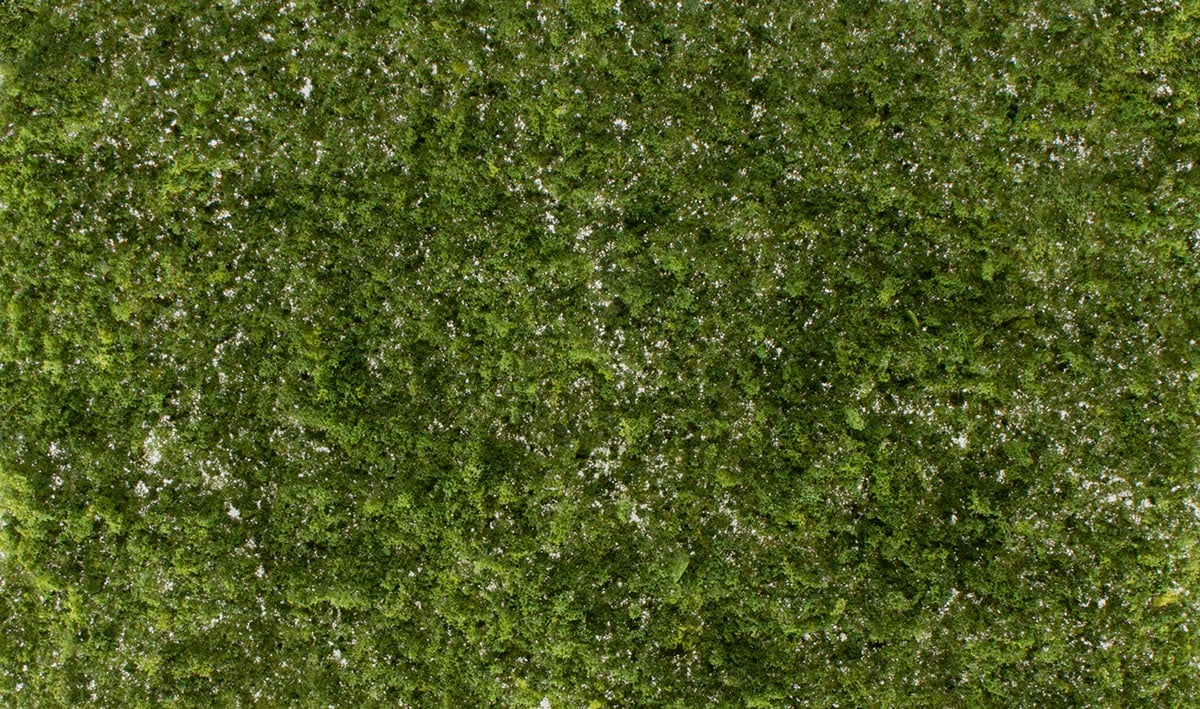 G6493