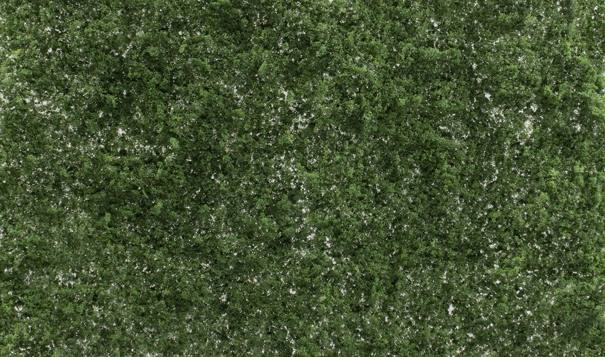 G6494