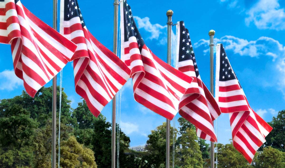 US Flag - Pole - Show off your patriotism with Old Glory waving in the wind