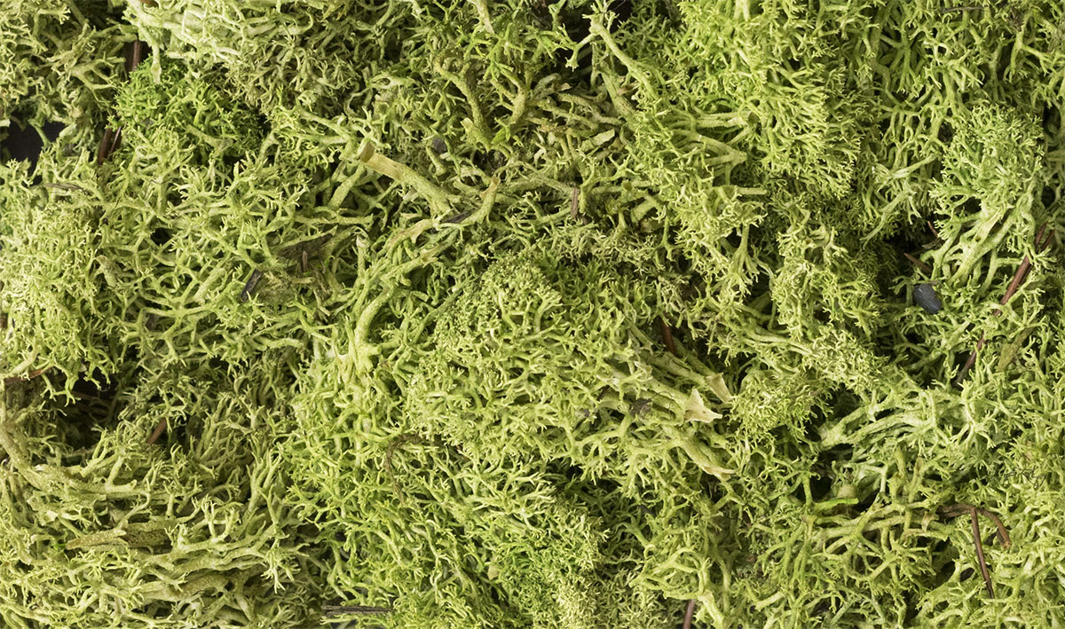 Lichen - Light Green - Model bushes, moss and other ground cover, or use as tree foliage to model quick and economical tree masses