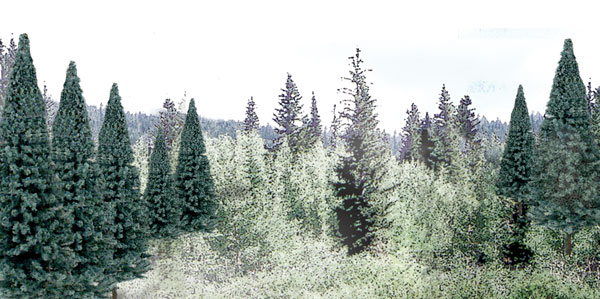 Blue Spruce - The best value in a ready-made tree and the quickest way to add trees to a layout