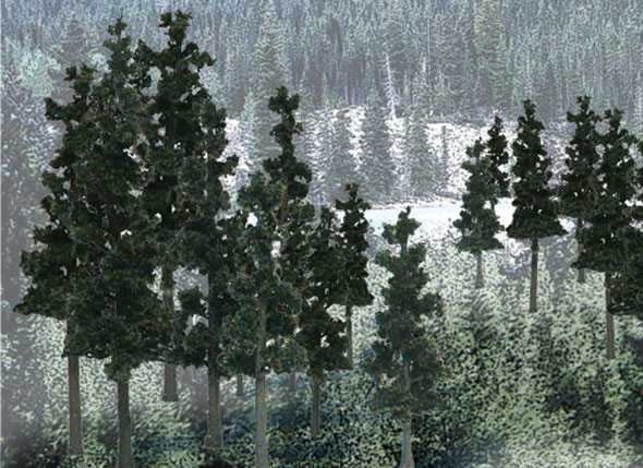 Conifer Colors - The best value in a ready-made tree and the quickest way to add trees to a layout