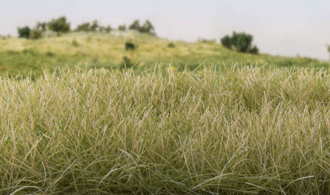 Woodland Scenics Static Grass  Straw Green 12mm WOOFS628 