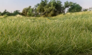 Woodland Scenics Fg172 Harvest Gold Field Grass 8g for sale online 
