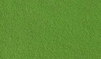 Woodland Scenics #45 Fine Turf Green Grass Colorfast, Realistic Color, 