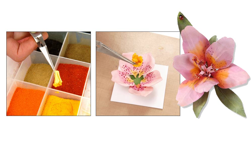 Pollen - Orange - Use Orange for Lilies, Hibiscus, Daffodils and more! 
1