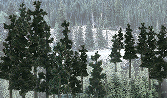 TR1580_d_1.gif