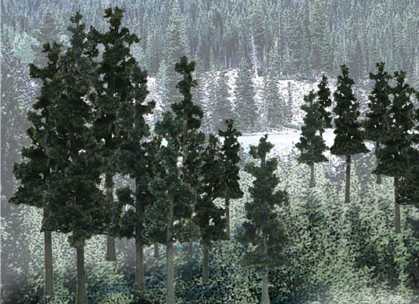 Conifer Colors - 33/pkg - Woodland Scenics
