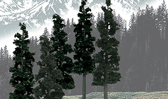 Conifer Colors - 12/pkg - Woodland Scenics