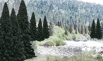 TR1585_d_1.gif