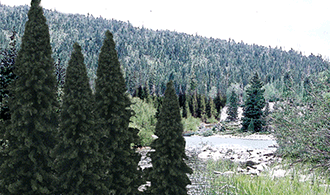 TR1586_d_1.gif