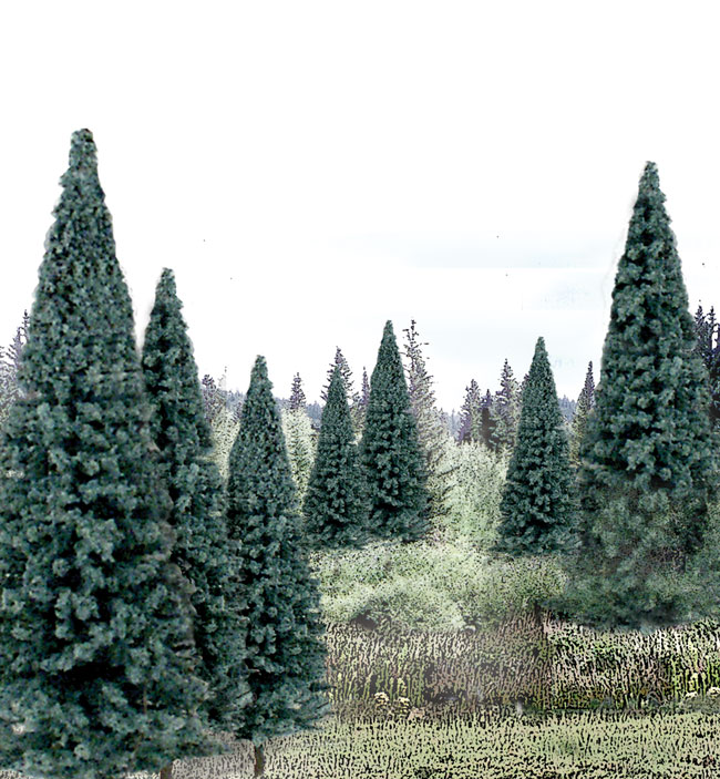 Blue Spruce- 13/pkg - Woodland Scenics