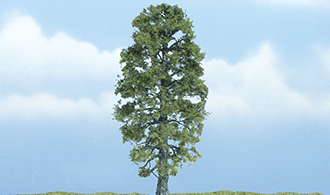 TR1618_d_1.gif