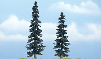 TR1621_d_1.gif