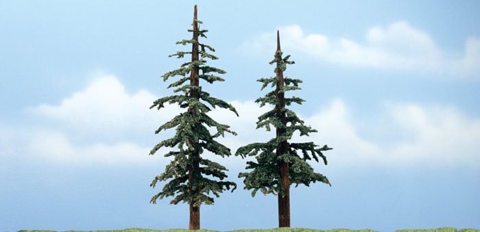 Lodgepole - This conifer type tree would look great in a rural setting, land reclamation scenes, forests or high country mountain scenes
