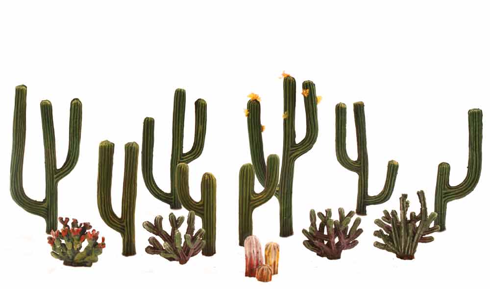Cactus Plants - Four types of cactus are hand painted in fine, realistic detail