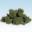 Foliage Clusters<sup>™</sup>