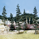 Large Tree Kits