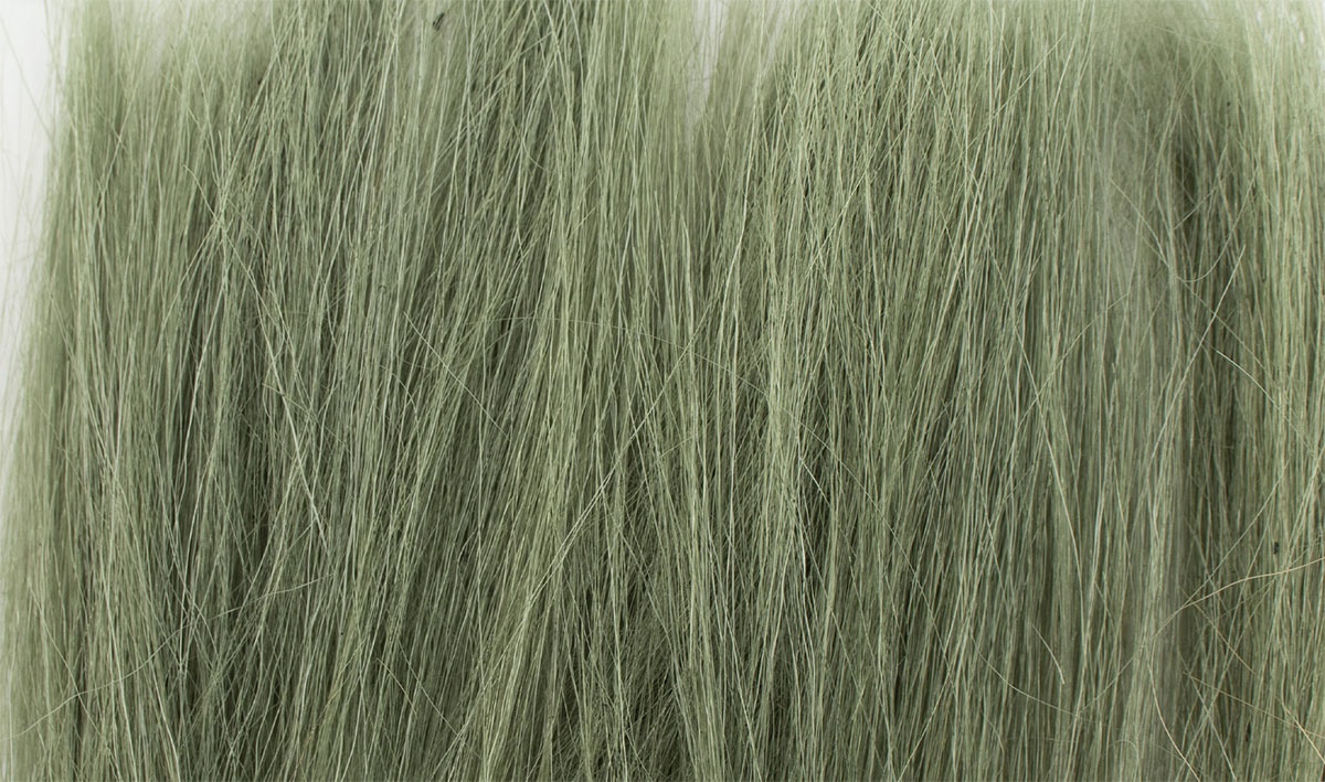 Tall Grass