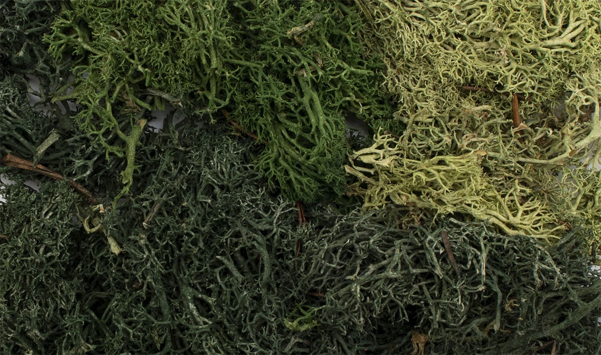 EZ Bushes™