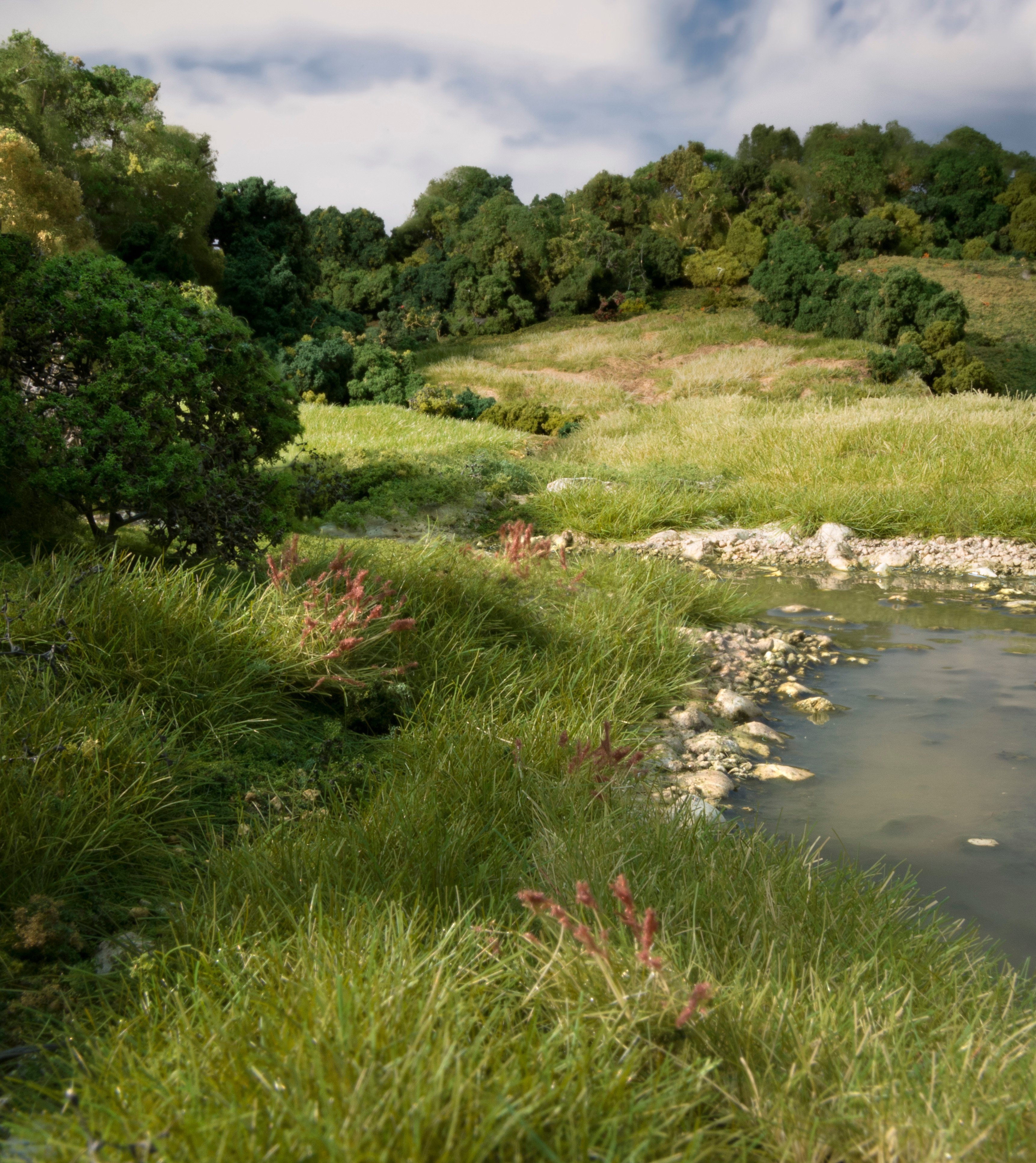 Build a Beautiful Landscape